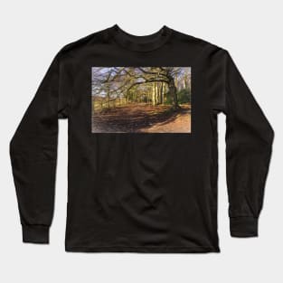 Sunny Winter Woodland  Digital Art Long Sleeve T-Shirt